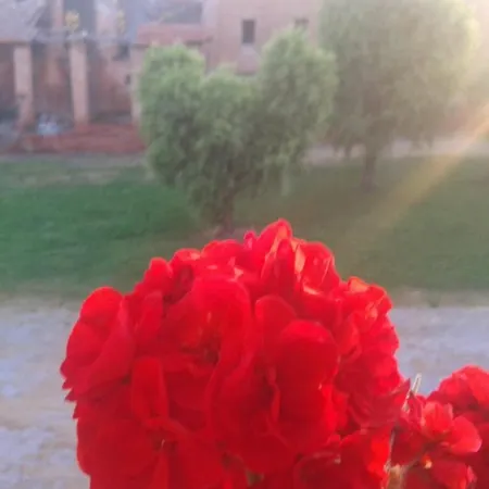 Ca' Alleata Lantgård Caorle