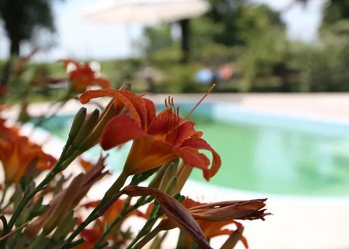 Ca' Alleata * Caorle