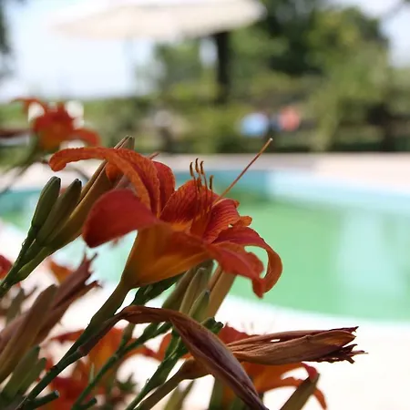 Ca' Alleata * Καόρλε