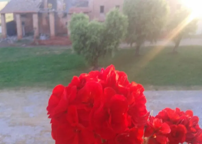 Ca' Alleata Farma Caorle